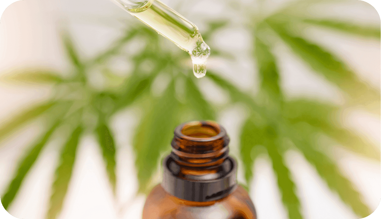 Extrakt Fläschchen und eine Pipette wo Flüssigkeit rausgetropft wird. Im Hintergrund sind Cannabisplfanzen